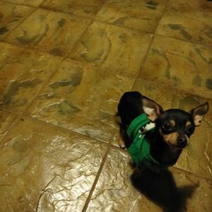 Meet your Posher, Rosa aguilar